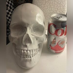 Skull decor